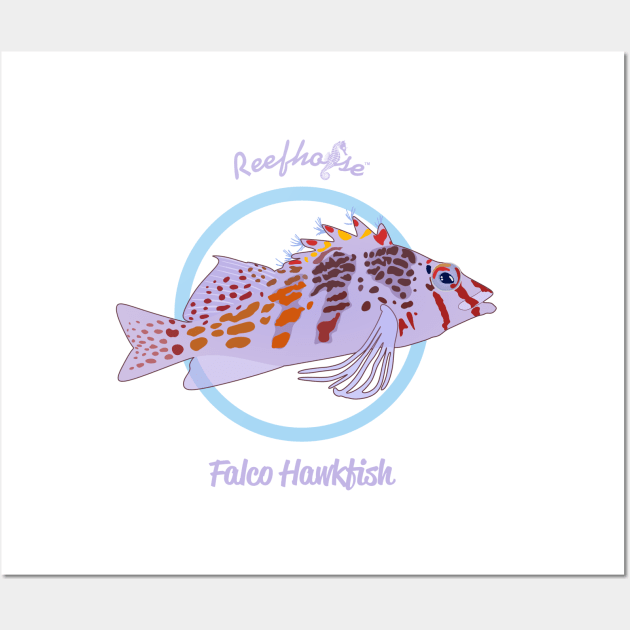 Falco Hawkfish Wall Art by Reefhorse